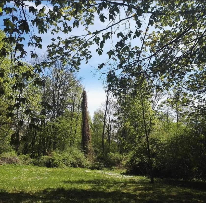 Hotel Im Park Sorkwity Dış mekan fotoğraf
